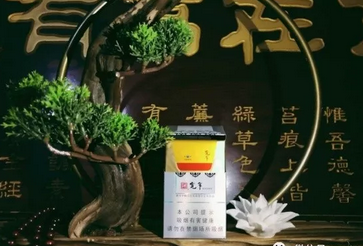 6元工字香烟价格